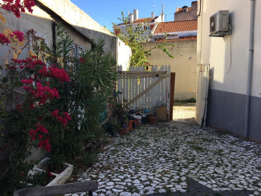 The Back Yard Nest Διαμέρισμα Lisboa Εξωτερικό φωτογραφία